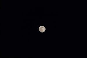 20201229Moon039.jpg